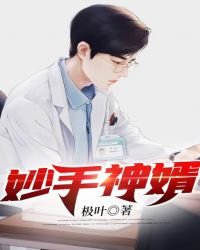 妙手神婿