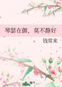 琴瑟在御,莫不静好