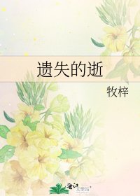 遗失的逝