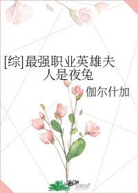 [綜]最強職業英雄夫人是夜兔
